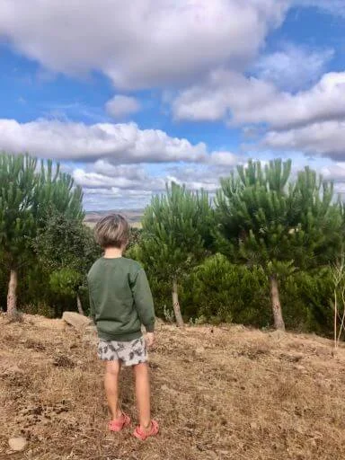 Вихід з зони комфорту: нові плани для родини